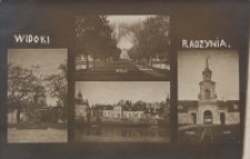 Widoki Radzynia - Pałac Potockich