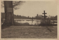 Am schlossteich in Janow = Staw w Janowie Podlaskim