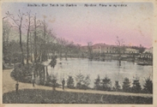 Siedlec. Der Teich in Garten = Siedlce. Staw w ogrodzie