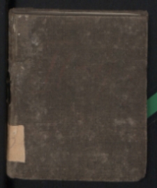 Mały Henryś : powieść moralna