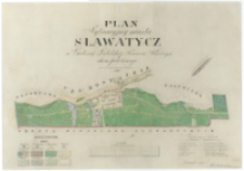Plan sytuacyjny miasta Sławatycz w Gubernij Lubelskiej Powiecie Radzyńskim Położonego a zmierzonego w miesiącu październiku roku 1846