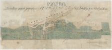 Mappa posiadłości miasta prywatnego Sławatycze w Gub. Lubelskiej Pow. Radzyńskim Położonego a zmierzonego w miesiącu październiku roku 1846