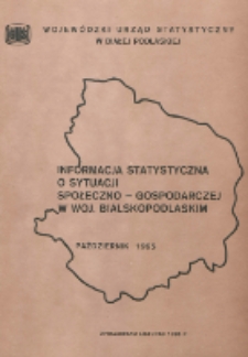 Informacja statystyczna o sytuacji społeczno-gospodarczej w woj. bialskopodlaskim 1995 październik [nr 10]