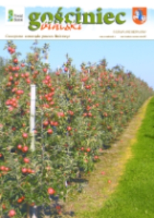 Gościniec Bialski : czasopismo samorządu powiatu bialskiego R. 16 (2017) nr 19 (178)