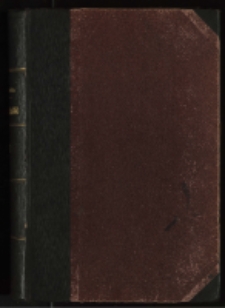 Rzecz o roku 1863. T. 2