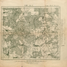 Maßstab : Gruppe Brest-Litovsk XXIV-13-C : skala 1: 25 000( Danówka - Witoroż)