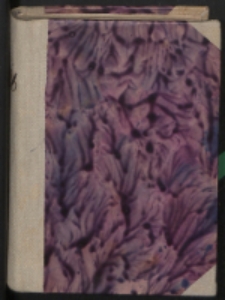 Szkice historyczne : (wybór). Cz. 1