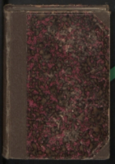 Popioły : powieść historyczna. T. 2