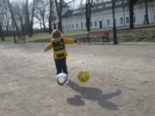 Zachodnie skrzydło zespołu pałacowo-parkowego Radziwiłłów w Białej Podlaskiej [fotografia - wyróżnienie]