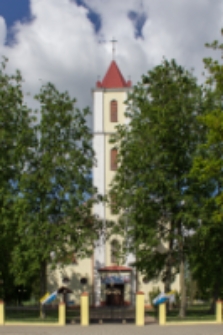 Kościół rzymskokatolicki pw. św. Trójcy w Huszczy [fotografia]