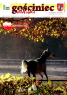 Gościniec Bialski : czasopismo samorządu powiatu bialskiego R. 17 (2018) nr 19 (202)