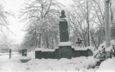 Pomnik Józefa Ignacego Kraszewskiego w Białej Podlaskiej [fotografia]