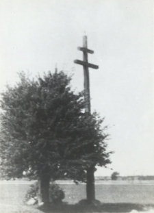 Krzyż morowy (karawaka) na Podlasiu [fotografia]