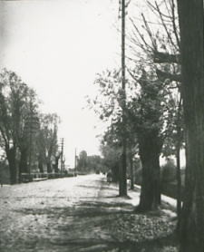 Droga wiodąca do dzielnicy Wola w Bialej Podlaskiej zwana "groblą" obecnie ul. Zamkowa [fotografia]
