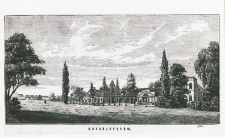 Pałac w Konstantynowie [fotografia]