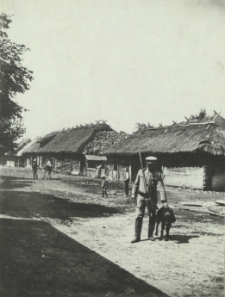 Chaty wiejskie w okolicach Kościeniewicz [fotografia]