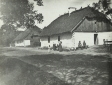 Domy wiejskie w okolicach Kościeniewicz [fotografia]