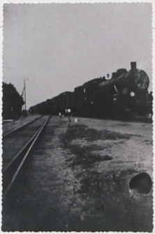 Pociąg na stacji kolejowej w Białej Podlaskiej [fotografia]