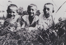 Koledzy z podwórka [fotografia]