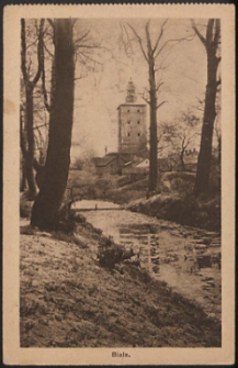 Biala, widok na wieżę w parku [pocztówka]