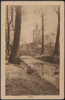 Biala, widok na wieżę w parku [pocztówka]