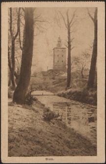 Biala, widok na wieżę w parku [pocztówka]