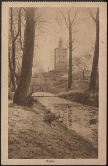 Biala, widok na wieżę w parku [pocztówka]