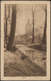 Biala, widok na wieżę w parku [pocztówka]