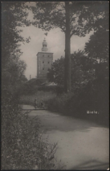 Biala, widok na wieżę w parku [pocztówka]