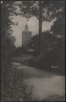 Biala, widok na wieżę w parku [pocztówka]