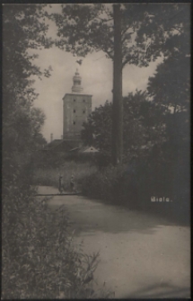 Biala, widok na wieżę w parku [pocztówka]
