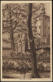 Schloss in Biala [poczt&oacute;wka]