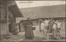 Beförderung in Rus Polen [pocztówka]