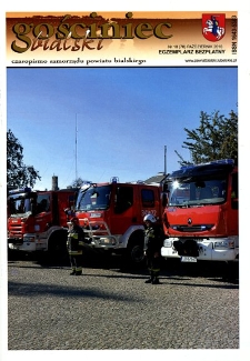 Gościniec Bialski : czasopismo samorządu powiatu bialskiego R. 9 (2010) nr 10