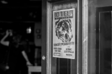 Premiera płyty ”Starcie z niedźwiedziem” zespołu Back To Reality, Trawniq Jazzanova, ul. Artyleryjska, Biała Podlaska, 12 maja 2018 r., godz. 21.00-22.15 : relacja 1