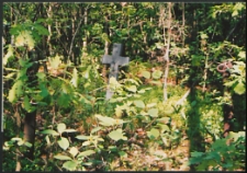 Cmentarze i miejsca pamięci w pow. Biała Podlaska : gm. Biała Podlaska: mogiła z krzyżem w Lesie Grabarka : fotografia