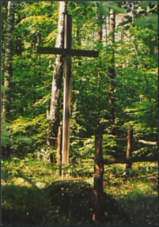 Cmentarze i miejsca pamięci w pow. Biała Podlaska : gm. Biała Podlaska: mogiła ziemna z krzyżem w lesie Rudka: fotografia