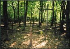 Cmentarze w gminach pow. Biała Podlaska : gm. Biała Podlaska: mogiła ziemna z krzyżem w lesie Rudka : fotografia