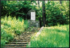 Cmentarze w gminach pow. Biała Podlaska : gm. Biała Podlaska: symboliczny pomnik w lesie Rudka : fotografia