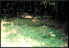 Cmentarze i miejsca pamięci w pow. Biała Podlaska : gm. Biała Podlaska: dwie mogiły w lesie k. Dokudowa : karta ewidencyjna nr 15