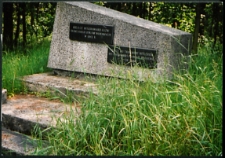 Cmentarze i miejsca pamięci w pow. Biała Podlaska : gm. Biała Podlaska: pomnik w lesie Hola upamiętniający miejsce kaźni jeńców francuskich w 1942 r. : fotografia