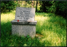 Cmentarze i miejsca pamięci w pow. Biała Podlaska : gm. Biała Podlaska: zbiorowa mogiła radzieckich jeńców wojennych z okresu II wojny światowej w lesie "Pustolegi" k. Husinki : karta ewidencyjna nr 22