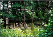 Cmentarze i miejsca pamięci w pow. Biała Podlaska : gm. Biała Podlaska: nieczynny cmentarz unicki i prawosławny w Łukowcach : karta ewidencyjna nr 29