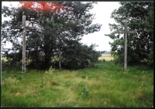 Cmentarze i miejsca pamięci w pow. Biała Podlaska : gm. Biała Podlaska: cmentarz epidemiczny we wsi Pólko : karta ewidencyjna nr 33