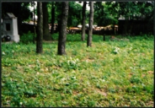 Cmentarze i miejsca pamięci w pow. Biała Podlaska : gm. Biała Podlaska: dawny cmentarz unicki w Sworach : fotografia