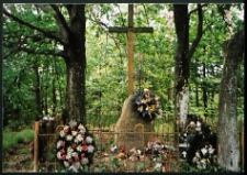 Cmentarze i miejsca pamięci w pow. Biała Podlaska : gm. Biała Podlaska : pomnik pomiędzy Worońcem i Sycyną ku czci Aleksandra Szaniawskiego dowódcy powstania 1863 r. i poległych powstańców : fotografia