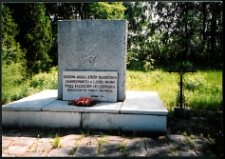 Cmentarze i miejsca pamięci w pow. Biała Podlaska : gm. Biała Podlaska: pomnik i cmentarz jeńców radzieckich w Woskrzenicach Dużych : fotografia