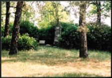 Cmentarze i miejsca pamięci w pow. Biała Podlaska : gm. Biała Podlaska: nieczynny cmentarz prawosławny w Wólce Plebańskiej : fotografia