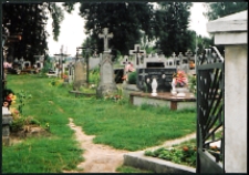 Cmentarze i miejsca pamięci w pow. Biała Podlaska : gm. Drelów : cmentarz we wsi Dołha : karta ewidencyjna nr 1