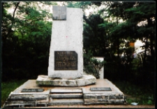 Cmentarze i miejsca pamięci w pow. Biała Podlaska : gm. Drelów : pomnik w hołdzie żołnierzom I Batalionu BCh im. Ziemi Podlaskiej w Drelowie : fotografia